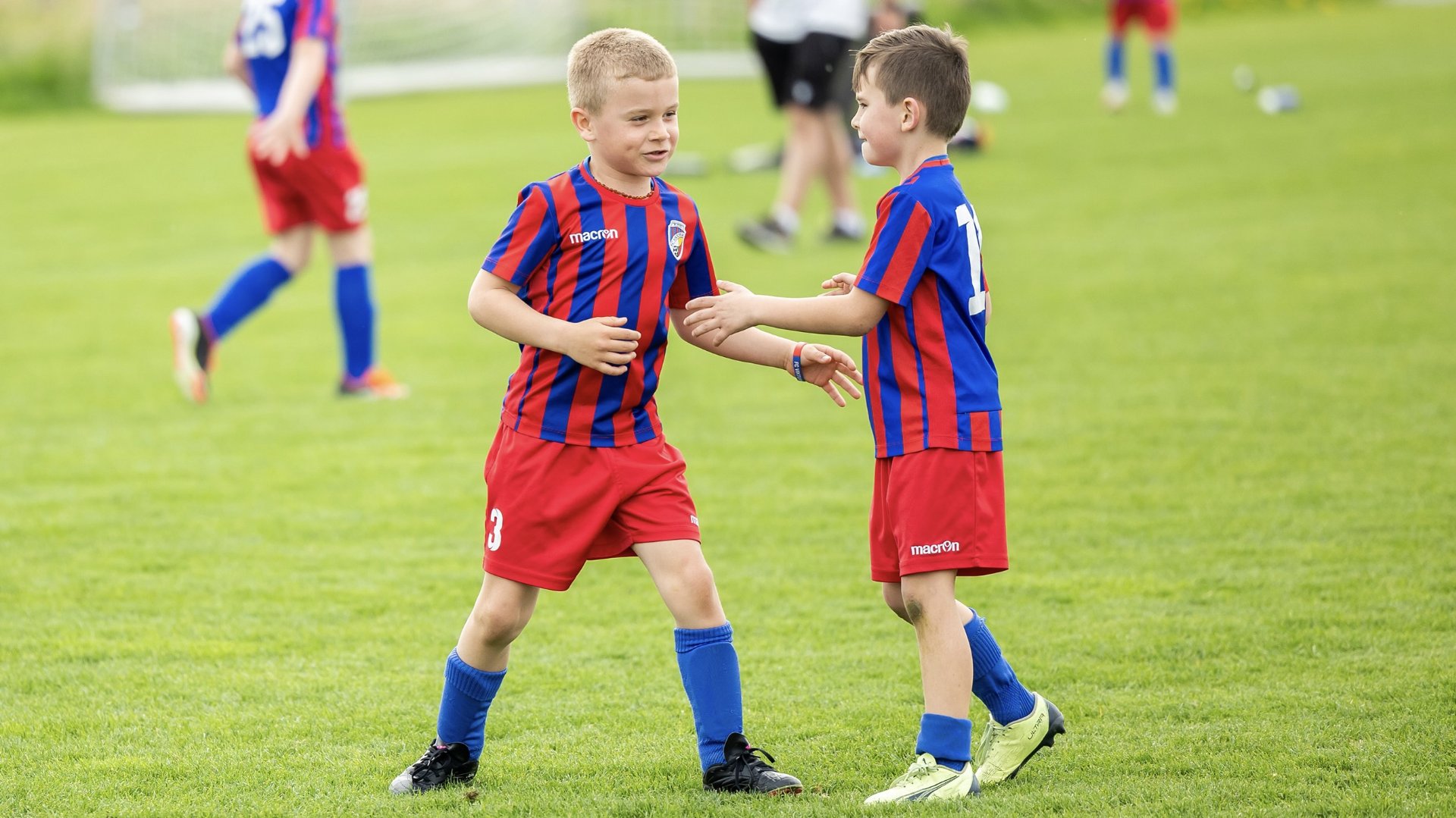 FC Viktoria Plze