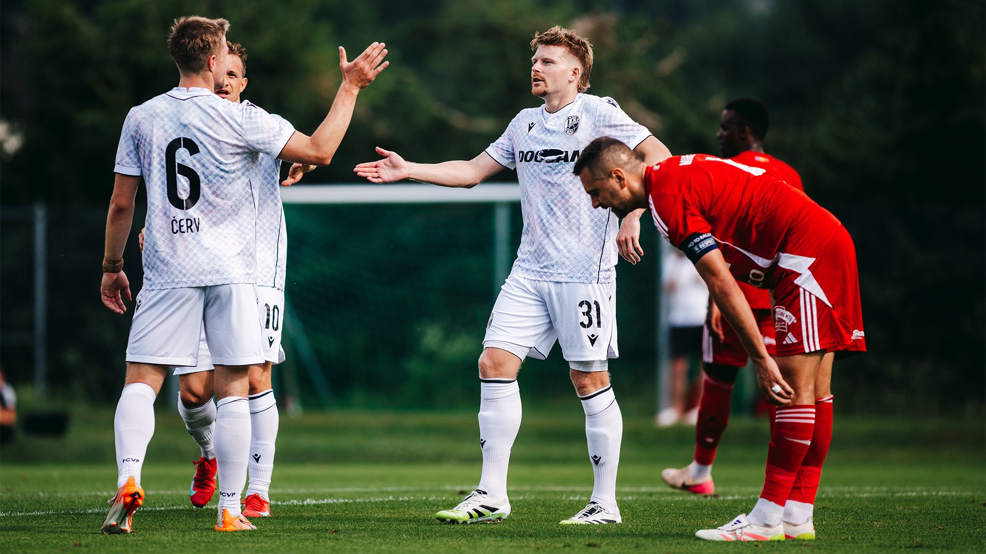 FC Viktoria Plze