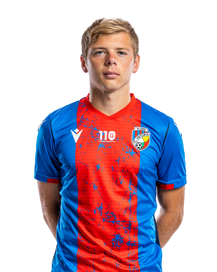 Michal Hlavatý #19